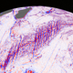 Illustration for article titled The Most Detailed Map of the Ocean Floor Ever Was Made From Space